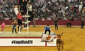 Jóvenes en una estructura metálica, un chico con una bandera y una vaquilla en la arena. Celebración de las vaquillas fiestas del pilar.