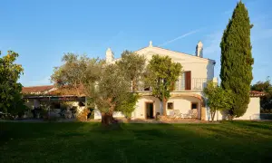 La finca el azahar, una casa blanca con balcón y arcos, rodeada de olivos y cipreses bajo un cielo azul.
