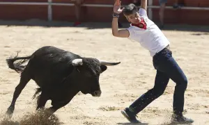 Un joven esquiva un toro bravo en la plaza. Consulta el **horario vaquillas Zaragoza** para no perdértelo.