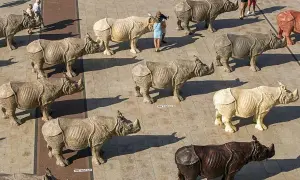 Una manada de rinocerontes de piedra decora la plaza del Pilar, algunos con carteles de "No tocar".