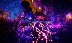 Un sendero serpenteante se ilumina con luces vibrantes, creando una mágica naturaleza encendida en Zaragoza. Árboles y plantas brillan con tonos azules, morados y rojos.