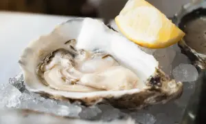 Ostra fresca servida sobre hielo, lista para disfrutar. Un toque de limón realza el sabor de este marisco, perfecto para una experiencia culinaria en Zaragoza.