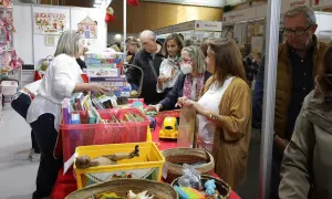 Gente comprando en un puesto de **rastrillo Aragón** con juguetes y libros.
