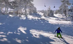 Un snowboarder desciende por una ladera nevada en una estación de esquí de Teruel, rodeado de árboles cubiertos de escarcha y telesillas.