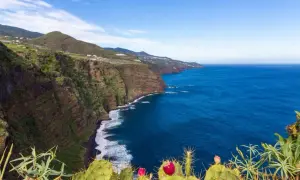 Acantilados verdes y el mar azul invitan a visitar La Palma. Cactus florecen en primer plano.