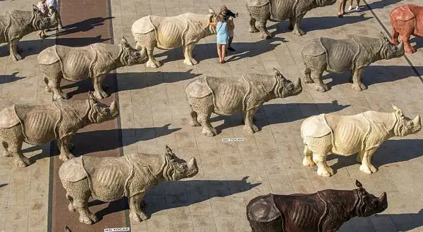 Una manada de rinocerontes de piedra decora la plaza del Pilar, algunos con carteles de "No tocar".