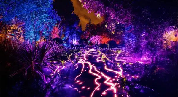 Un sendero serpenteante se ilumina con luces vibrantes, creando una mágica naturaleza encendida en Zaragoza. Árboles y plantas brillan con tonos azules, morados y rojos.