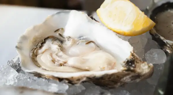 Ostra fresca servida sobre hielo, lista para disfrutar. Un toque de limón realza el sabor de este marisco, perfecto para una experiencia culinaria en Zaragoza.