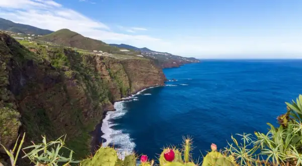 Acantilados verdes y el mar azul invitan a visitar La Palma. Cactus florecen en primer plano.