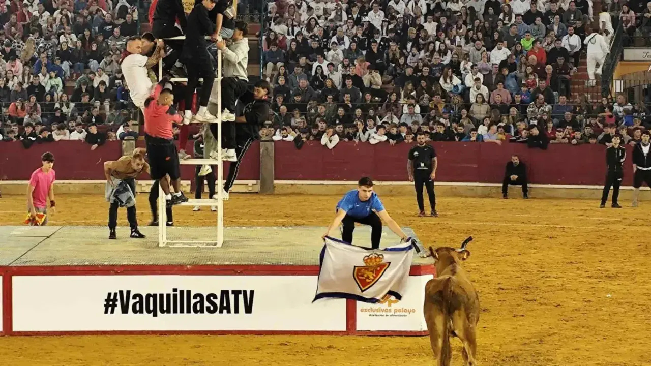 Jóvenes en una estructura metálica, un chico con una bandera y una vaquilla en la arena. Celebración de las vaquillas fiestas del pilar.