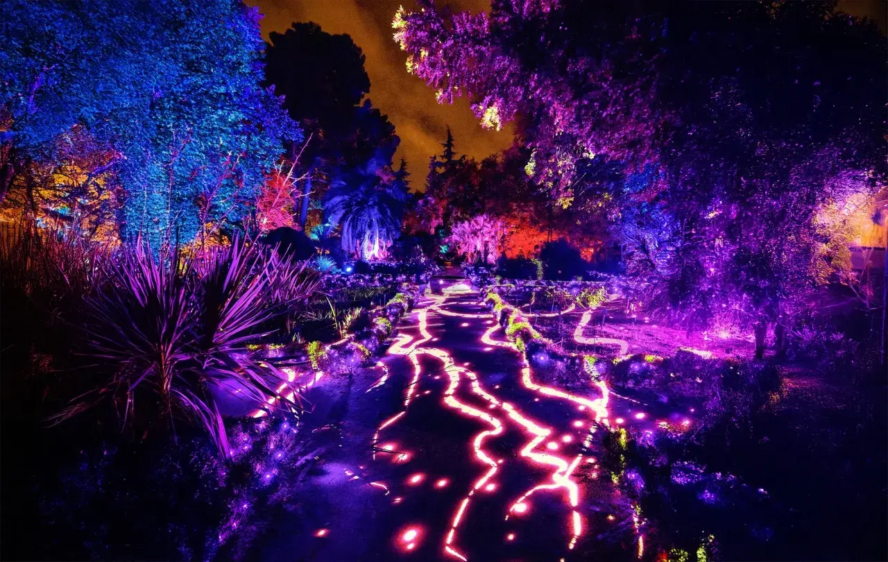 Un sendero serpenteante se ilumina con luces vibrantes, creando una mágica naturaleza encendida en Zaragoza. Árboles y plantas brillan con tonos azules, morados y rojos.