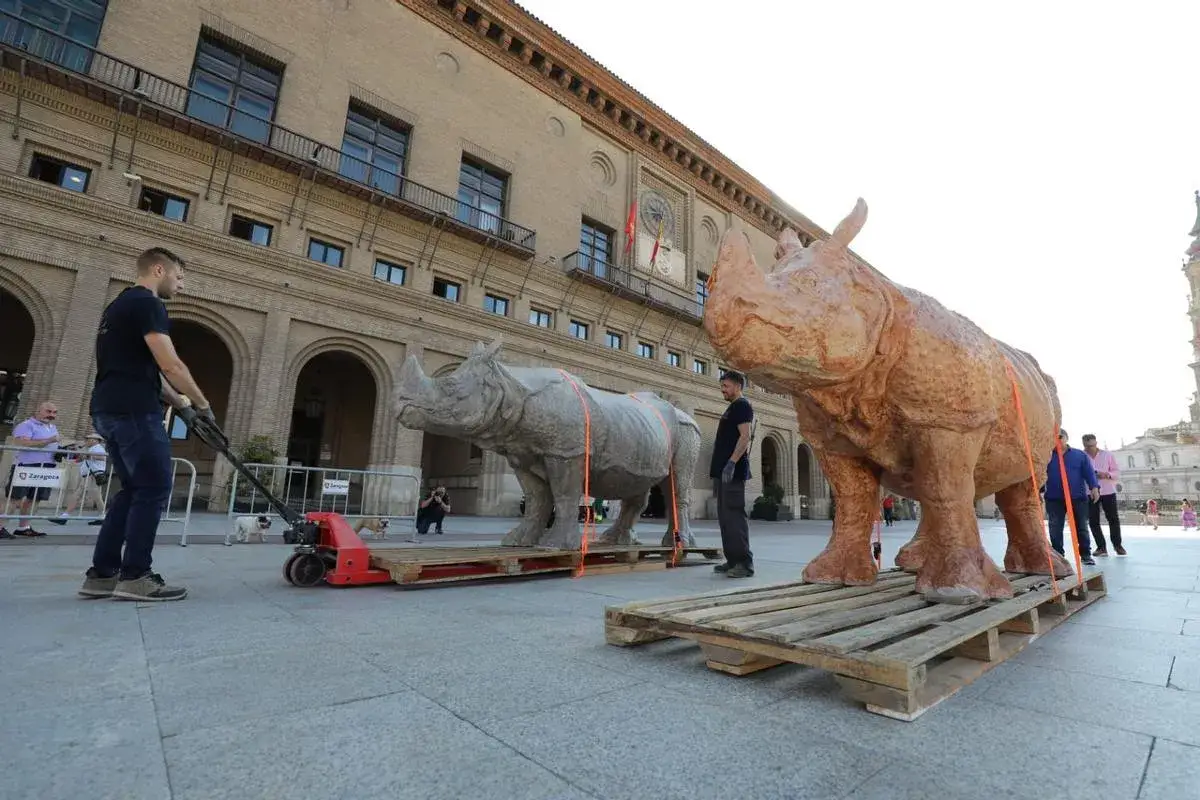 Dos esculturas de rinocerontes son preparadas para su exhibici&oacute;n en la Plaza del Pilar, Zaragoza.