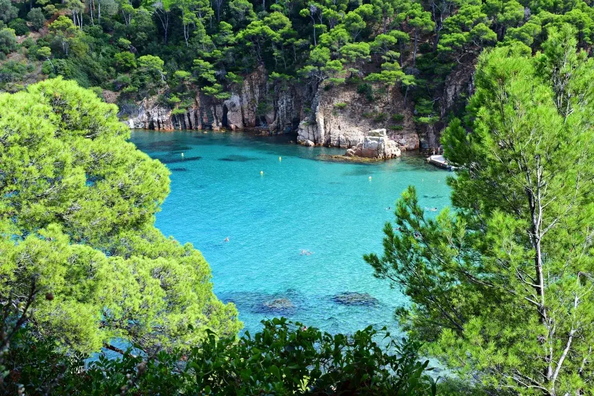 Calas escondidas cerca de Barcelona, con aguas turquesas y pinos frondosos. Un para&iacute;so para descubrir.