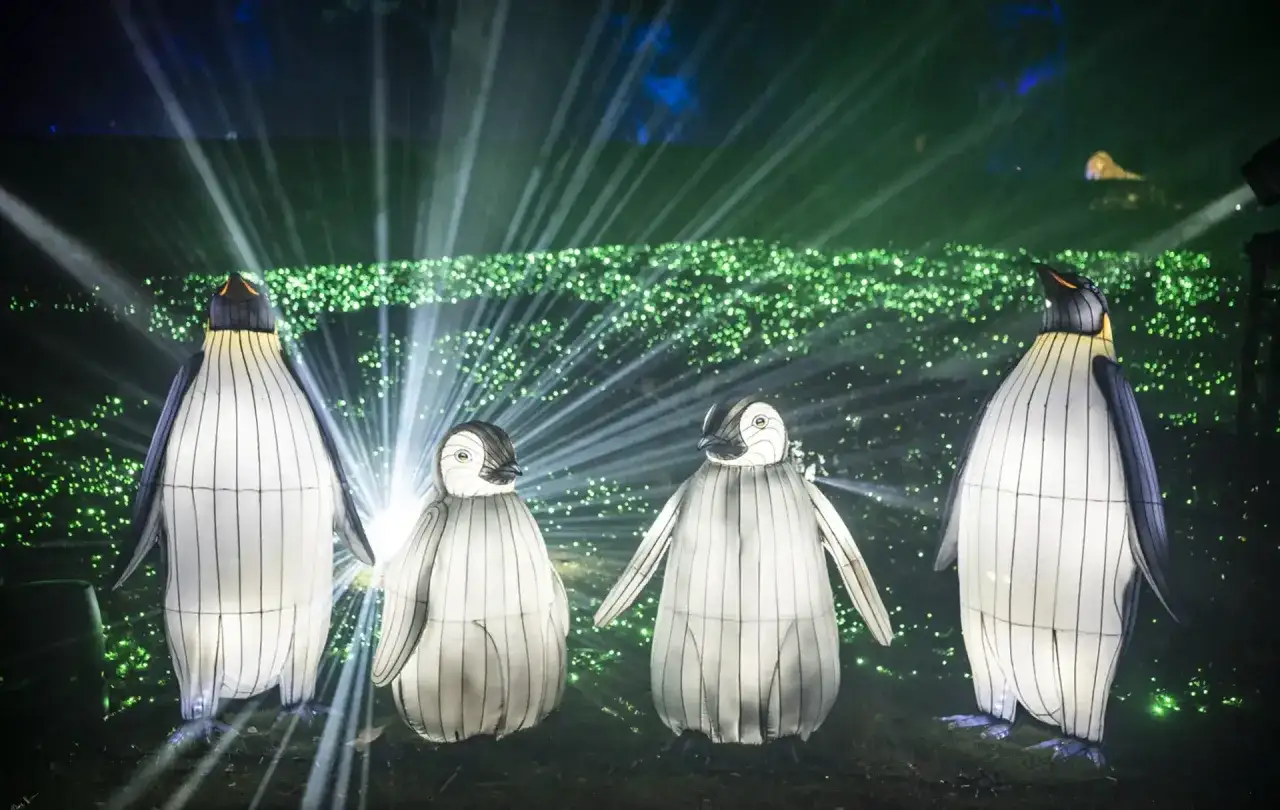 Pingüinos iluminados en un espectáculo de luz y color, como si la naturaleza encendida de Zaragoza cobrara vida.