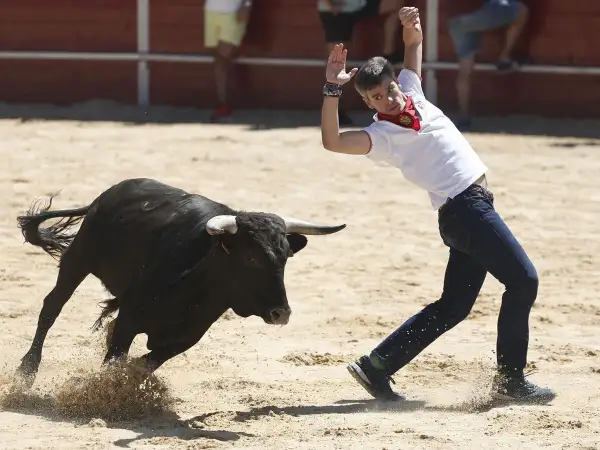 Un joven esquiva un toro bravo en la plaza. Consulta el **horario vaquillas Zaragoza** para no perdértelo.