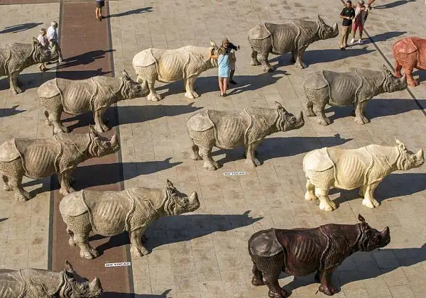 Una manada de rinocerontes de piedra decora la plaza del Pilar, algunos con carteles de "No tocar".