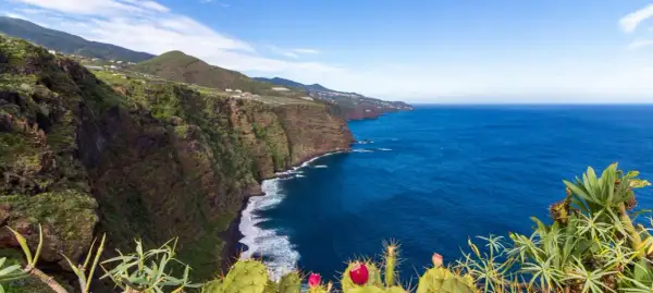Acantilados verdes y el mar azul invitan a visitar La Palma. Cactus florecen en primer plano.